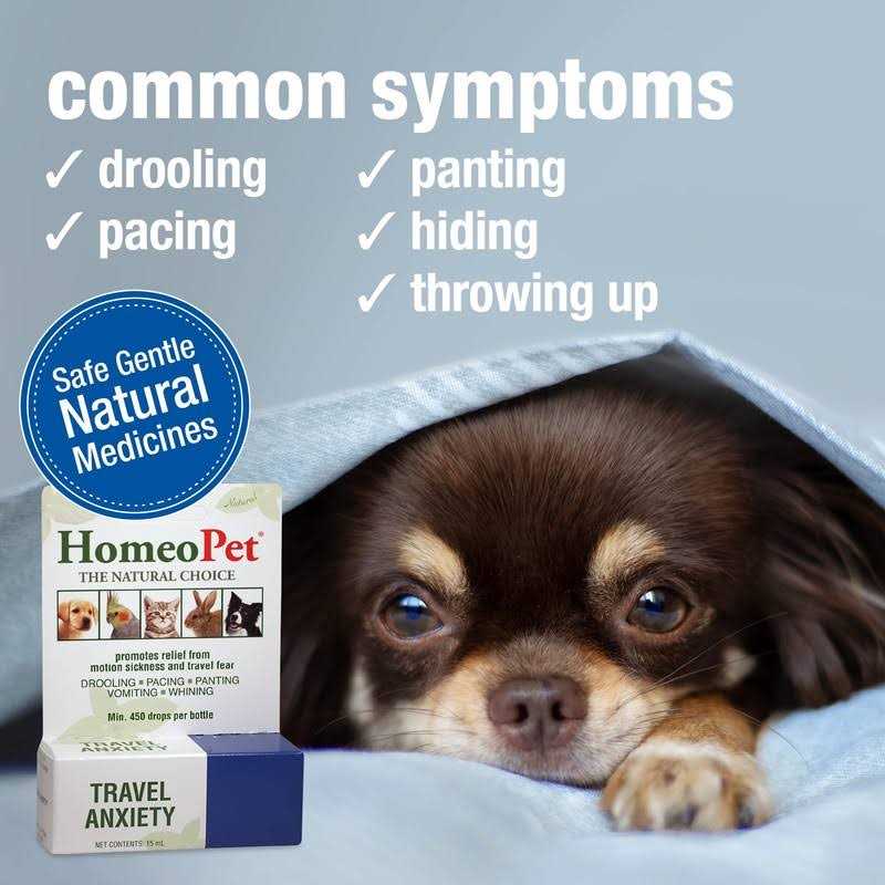 Travel Anxiety Pet Supplies V977