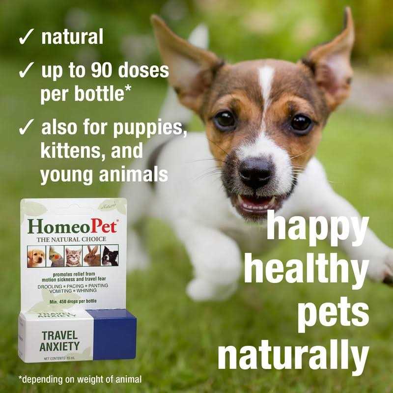 Travel Anxiety Pet Supplies V977