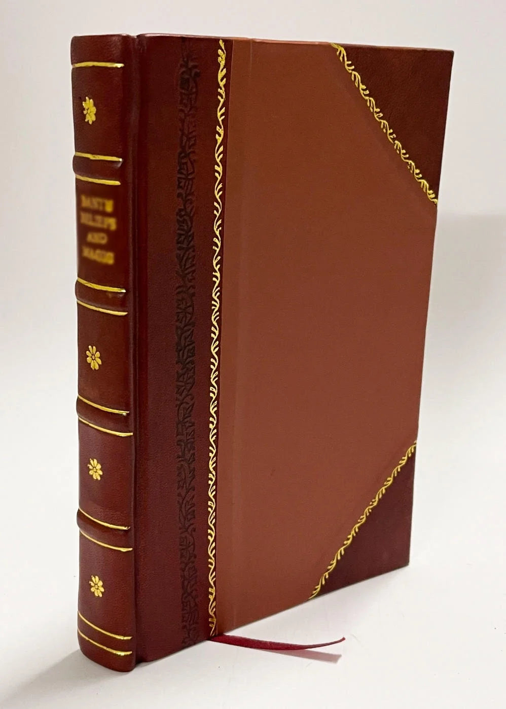 Leather Bound Book E832