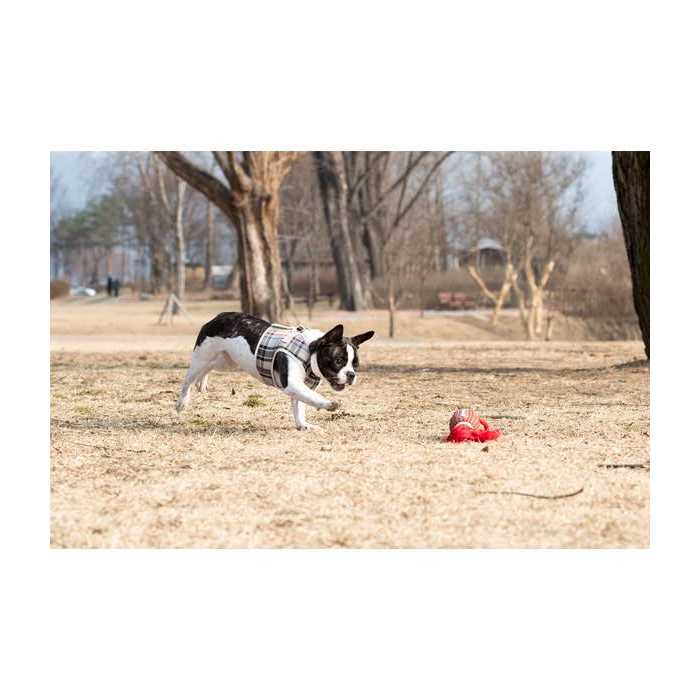 Dog Harness V9999