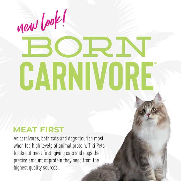 Tiki Cat Essentials Trout and Menhaden Fish Meal Recipe Dry Cat Food P16469