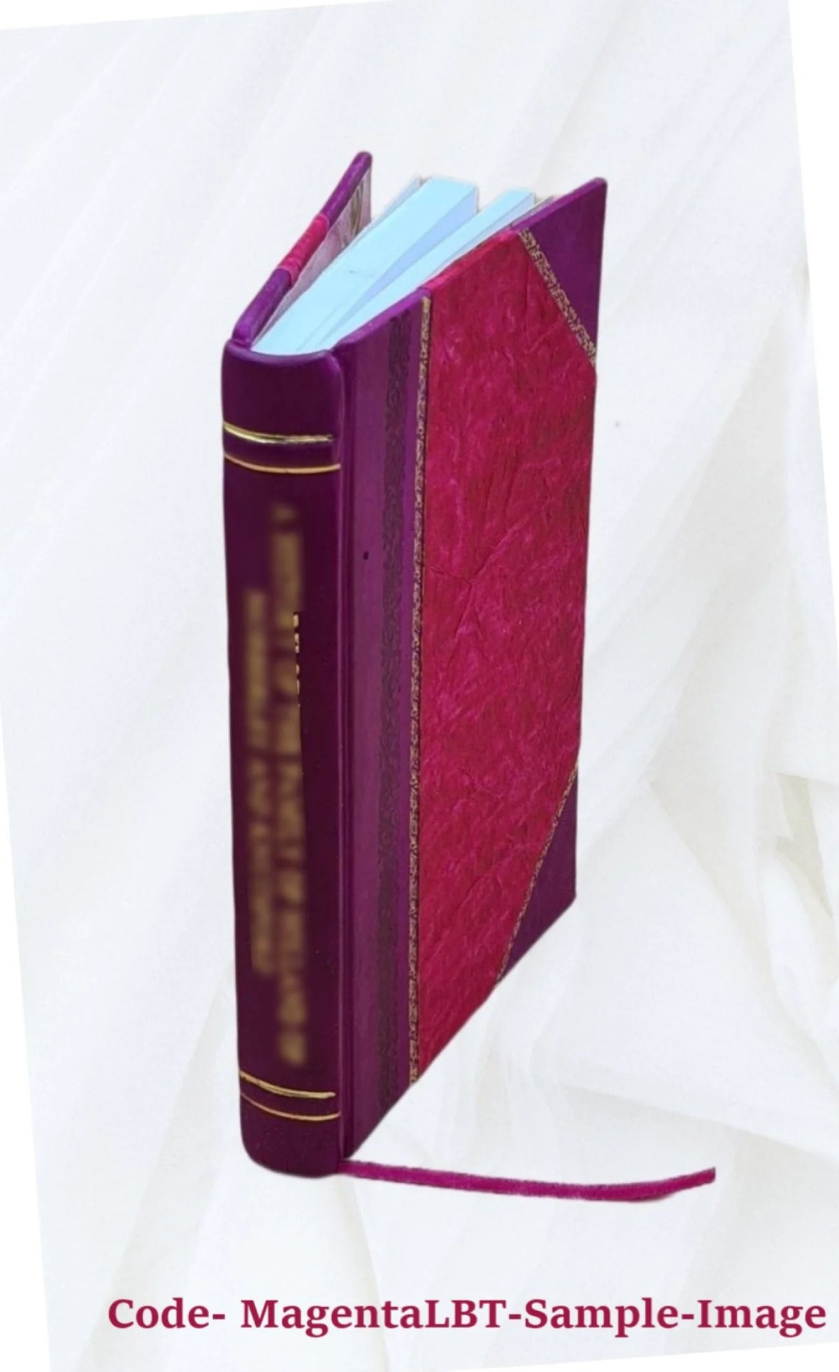 Leather Bound Book Z320