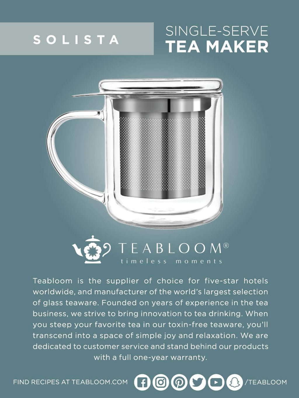 Insulated Borosilicate Glass Tea Infuser Mug (8 Oz) T97990