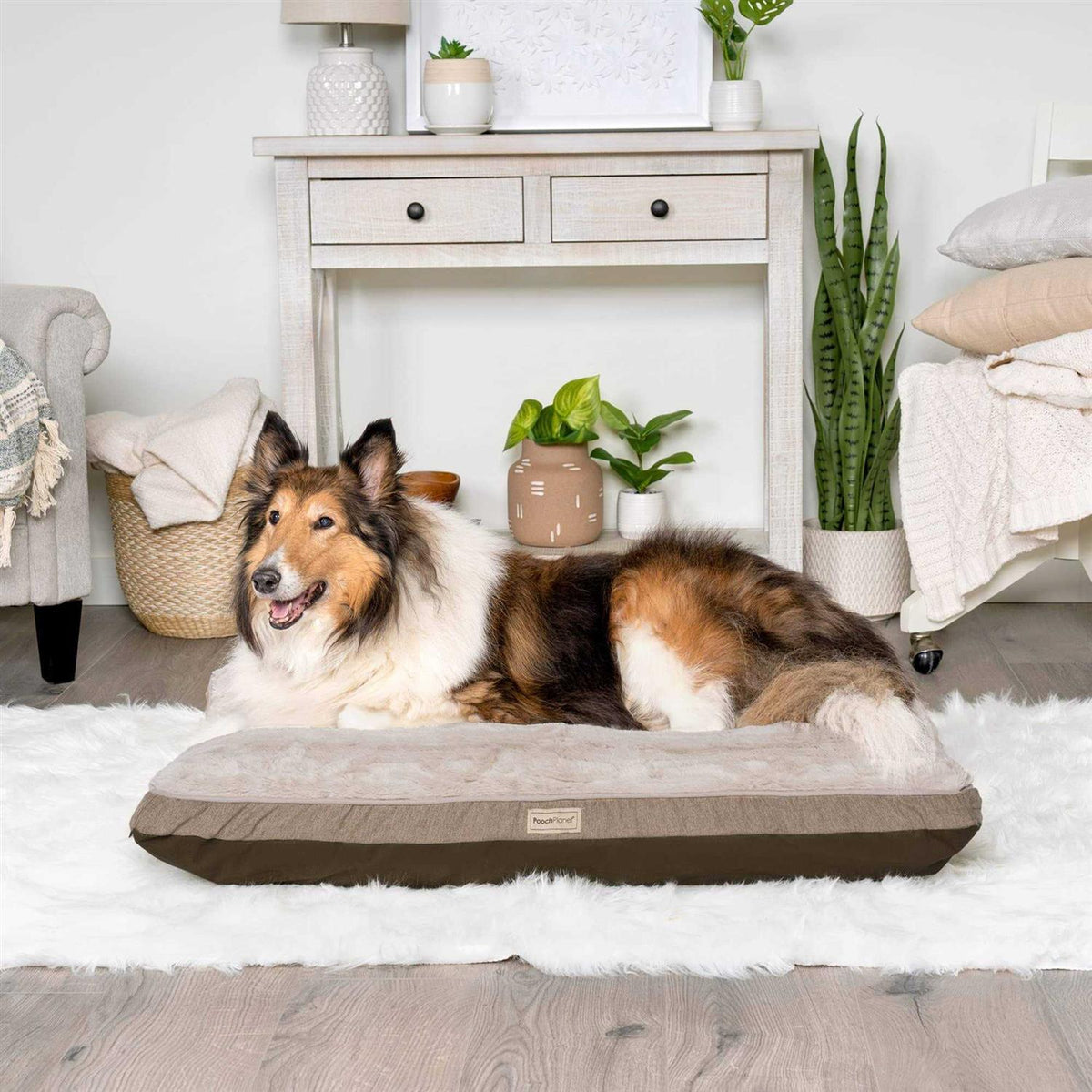 Large Memory Foam Dog Bed Plush Mattress with Removable Washable Cover J69890