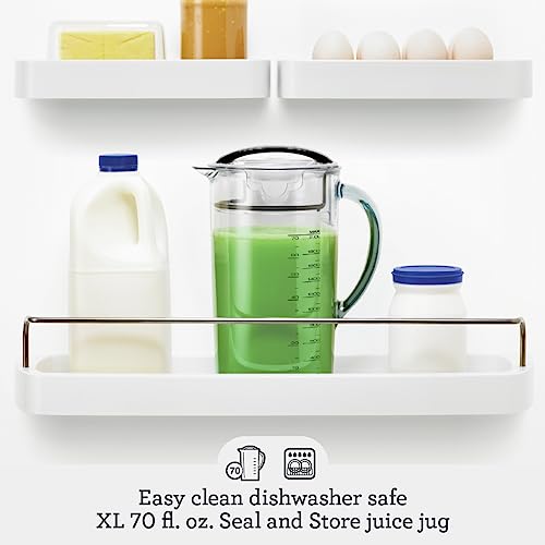 Glass Stainless Steel Juicer F856457