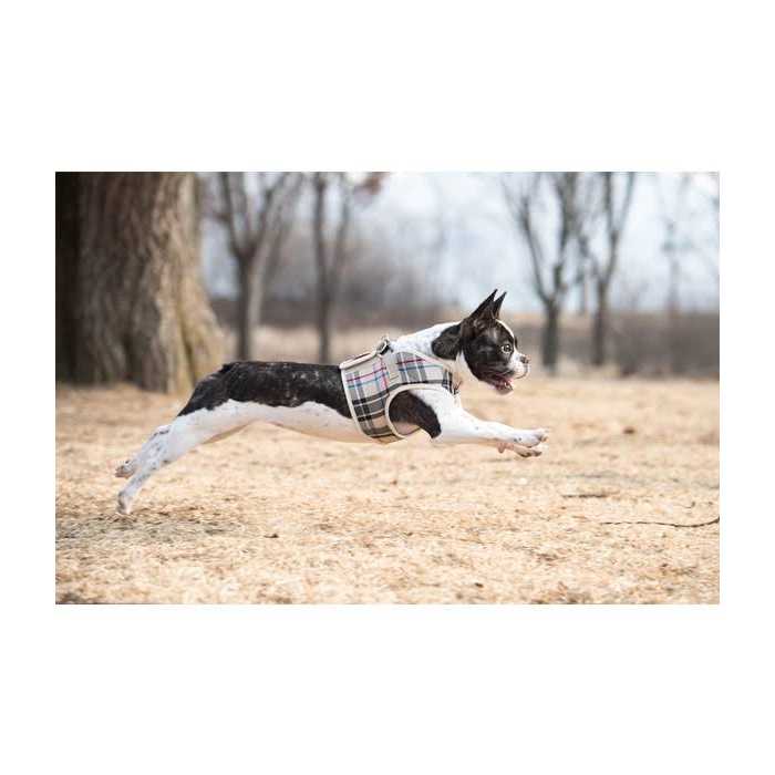 Dog Harness V9999