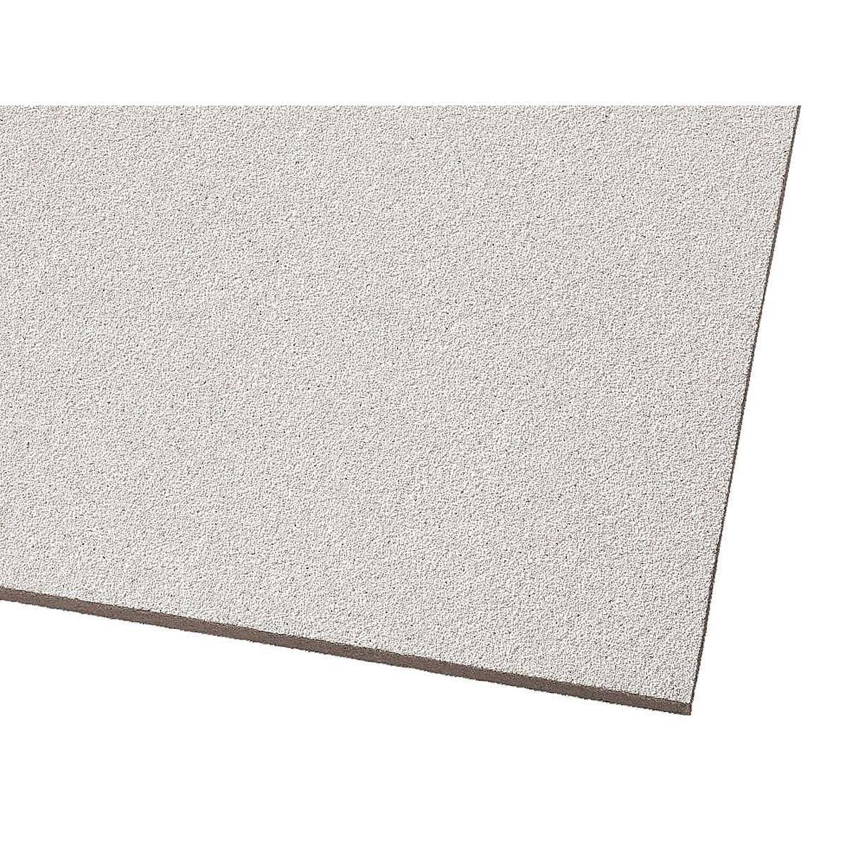 Acoustical Ceiling Panel, 24x48x5/8 in., 6 per Case E970201
