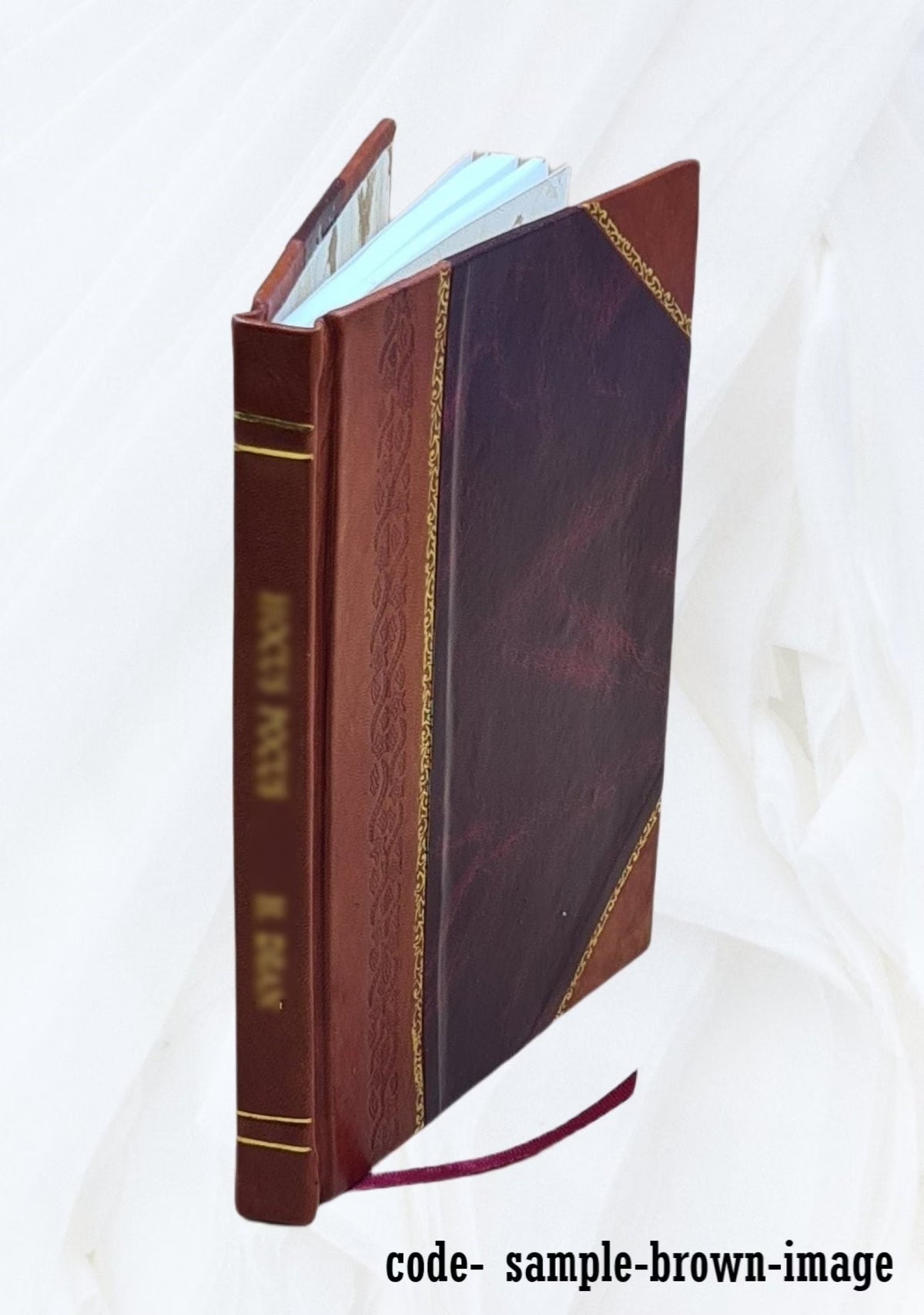 Leather Bound Book Z320