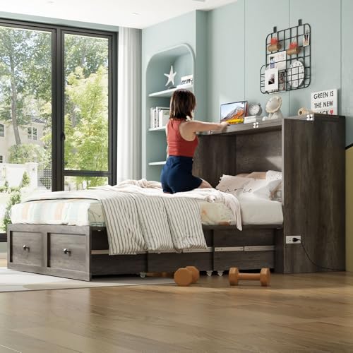 Queen Murphy Bed with Storage & Charging Station U678